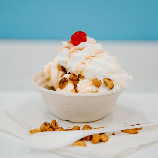 Bridgeman's Ice Cream